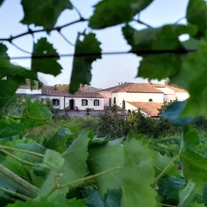 Etna Casa vacanze